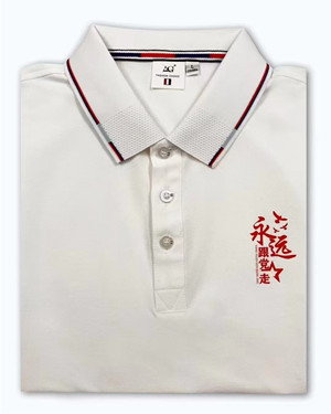 案例展示